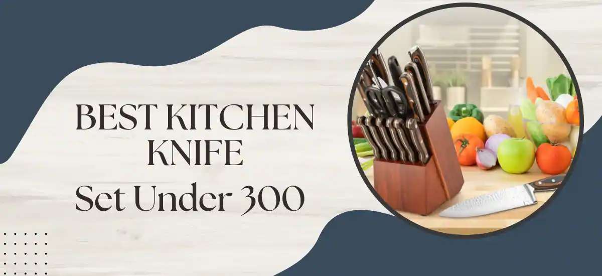 Best-Kitchen-Knife-Set-Under-300.webp