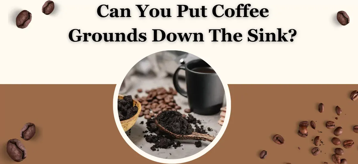 can-you-put-coffee-grounds-down-the-sink-64e89fd5b3312.webp